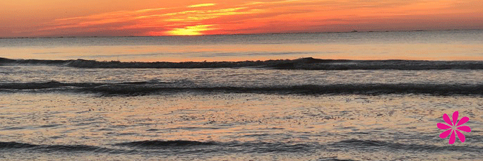 Macaronikidbeau's profile banner image