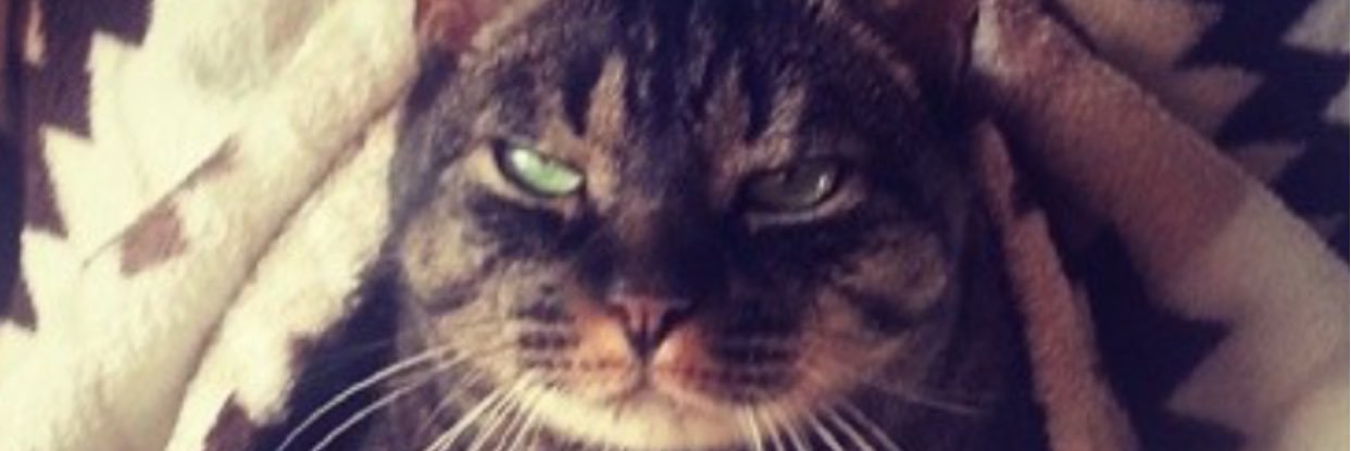 Korch52's profile banner image