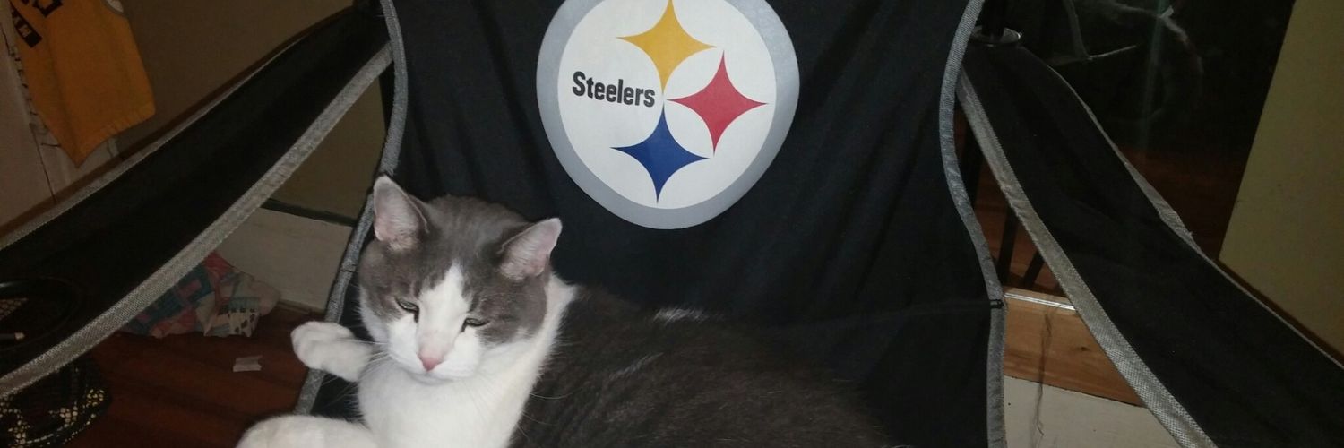 Steelersnystyle's profile banner image