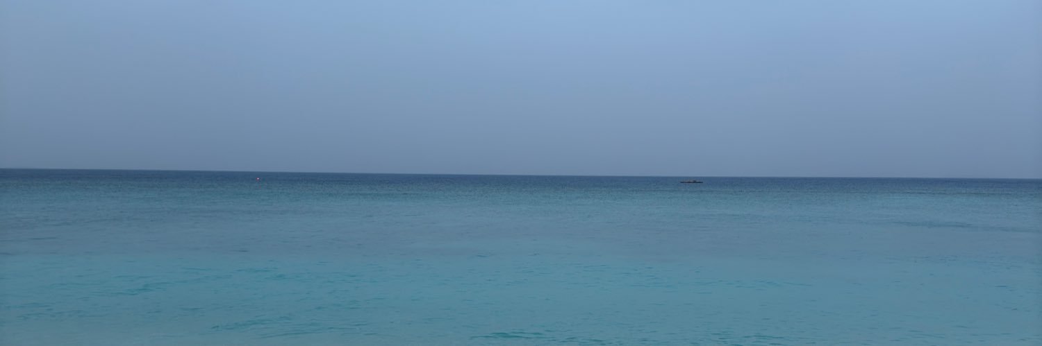 lina 🐈‍⬛ banner