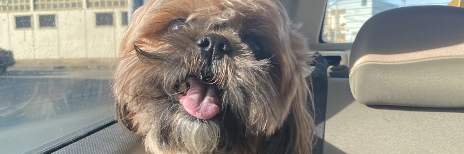 juuliaquino's profile banner image