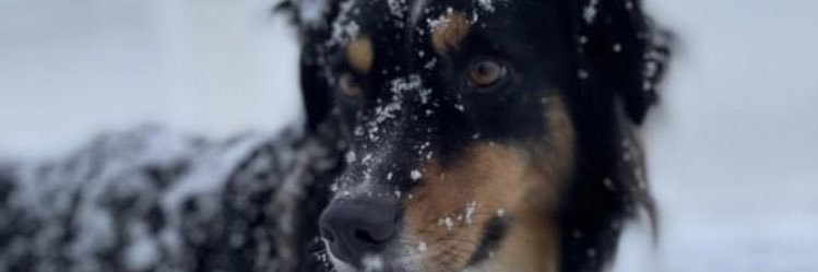 Travis_Ayy's profile banner image