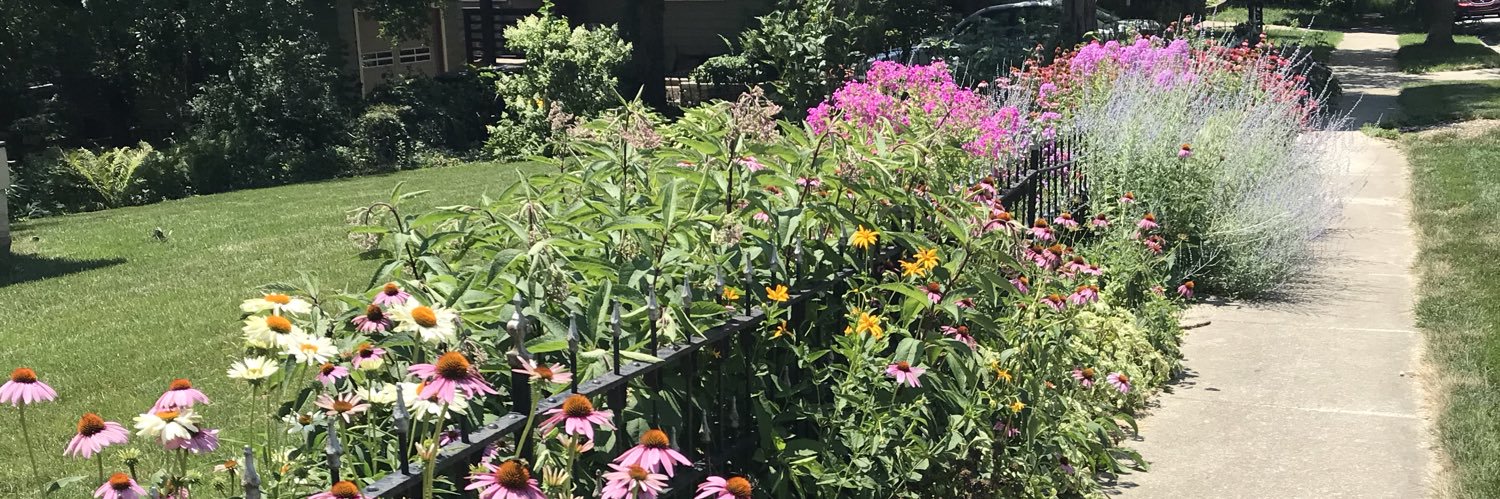 CarolBangert's profile banner image