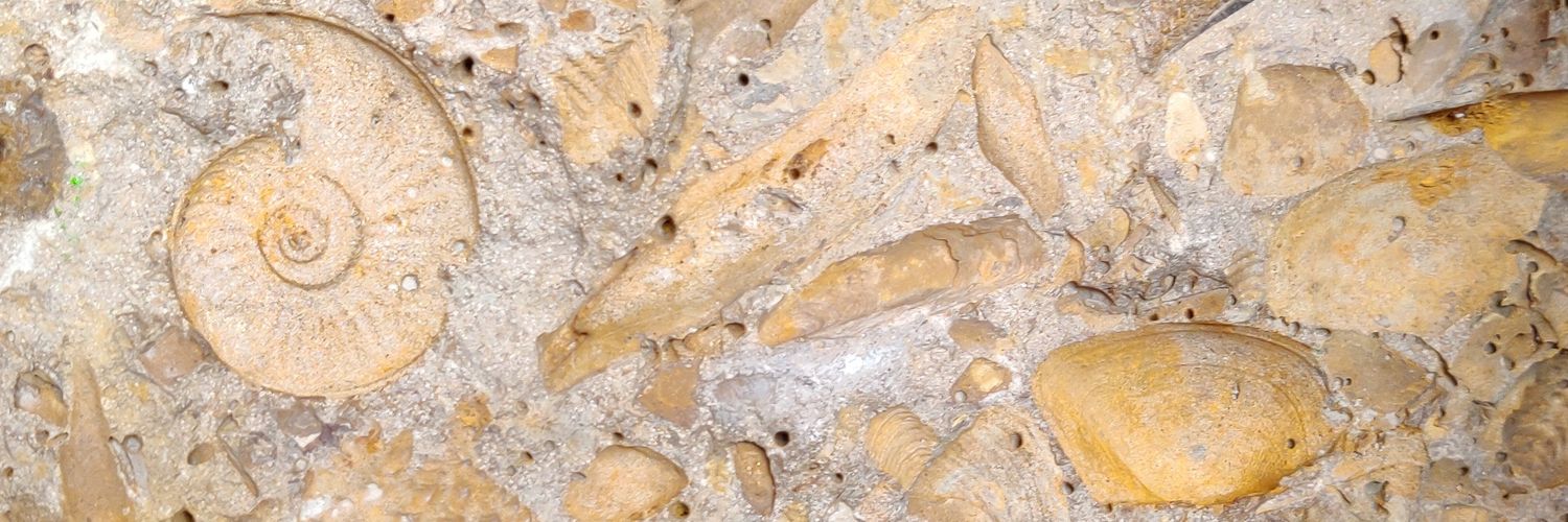 @ocefpaf@fosstodon.org banner