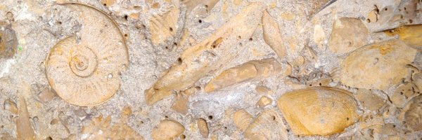 ocefpaf Profile Banner