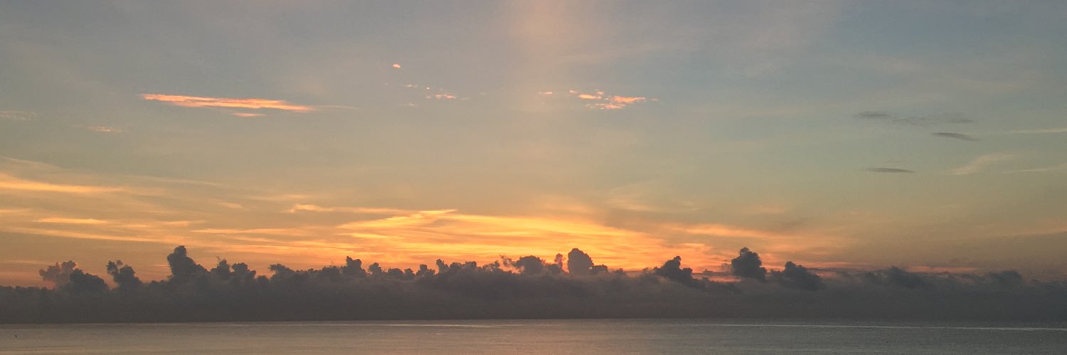 pacastanha_'s profile banner image