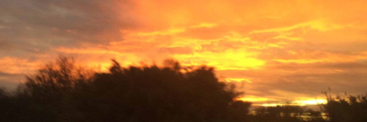 NandoDz's profile banner image