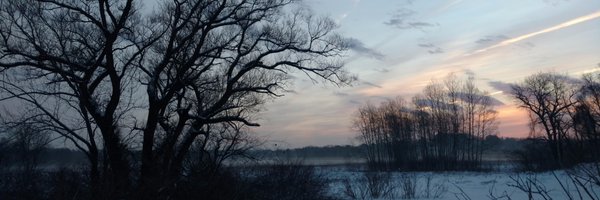 GemmaeFix Profile Banner