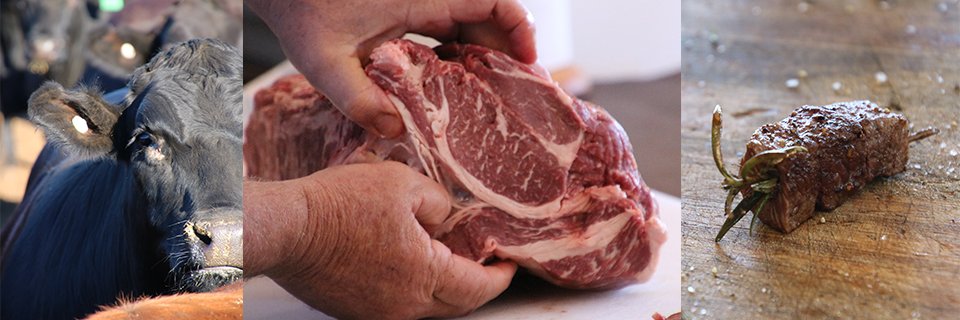 Signature Beef banner
