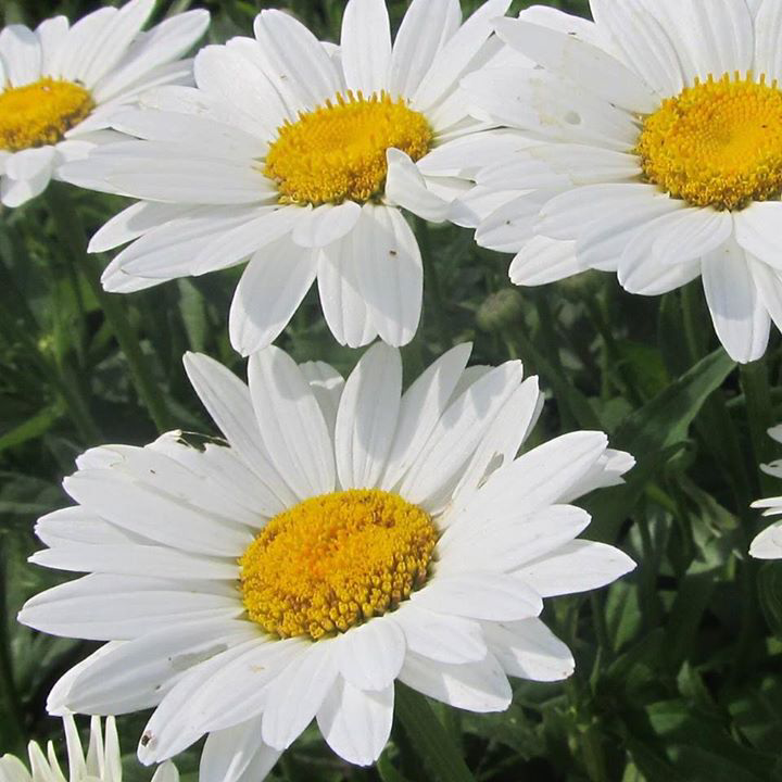 Mme_Kara's profile banner image