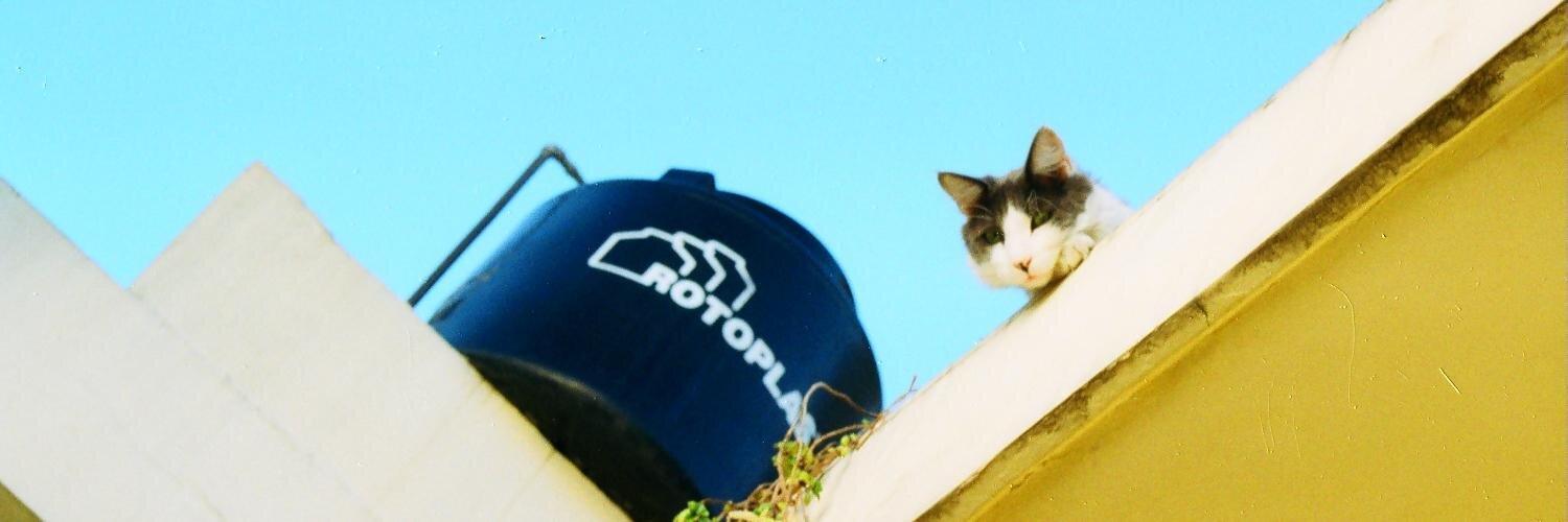 dabellolio's profile banner image