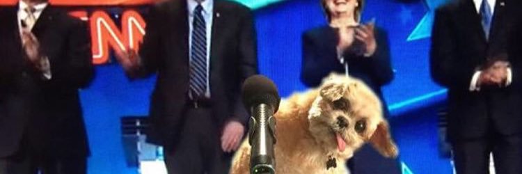 ScottPatrickBar's profile banner image