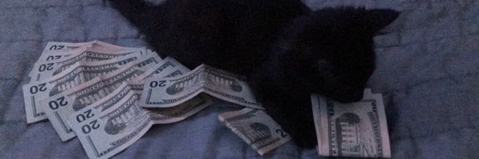 xttvii's profile banner image