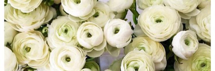 peta_barclay's profile banner image