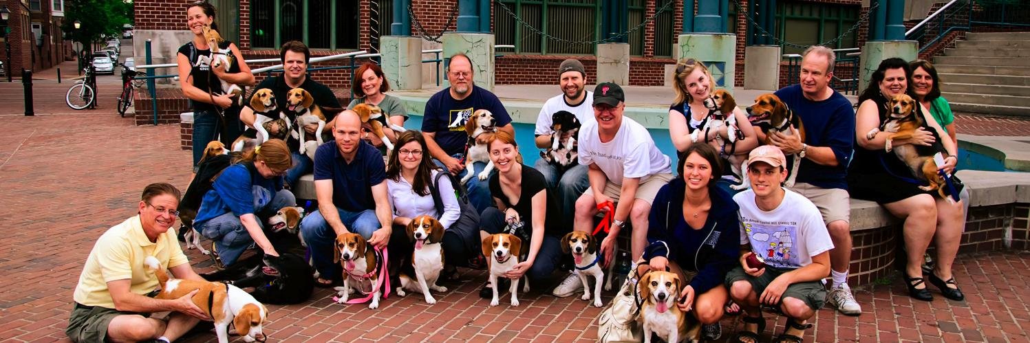 DCbeagles's profile banner image