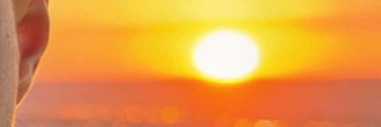 Gamecocks_FoSho banner