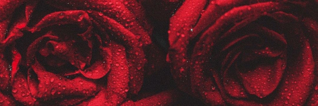 uniquelyspcial's profile banner image