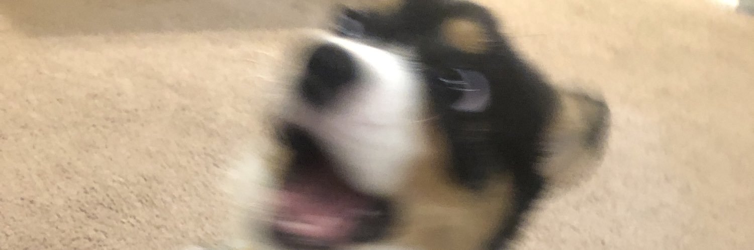 wxndyn_'s profile banner image