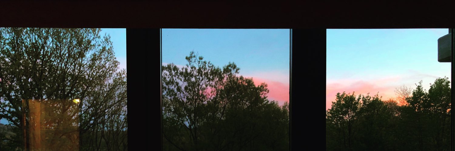 Taylor_Puccini's profile banner image