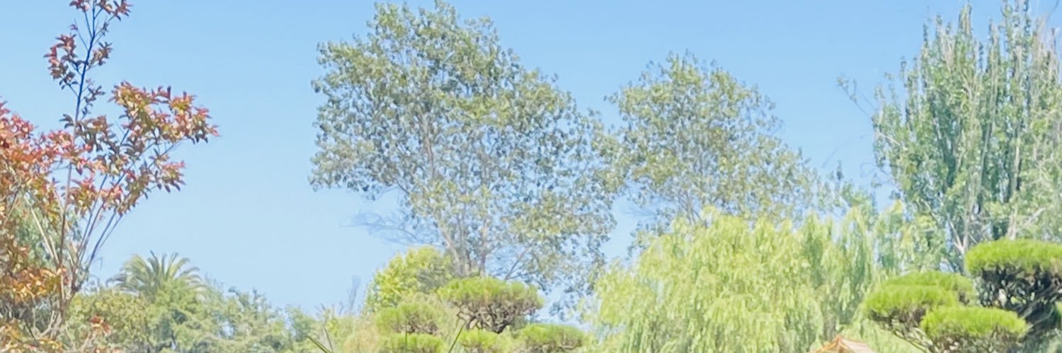 DanielaMuranda's profile banner image