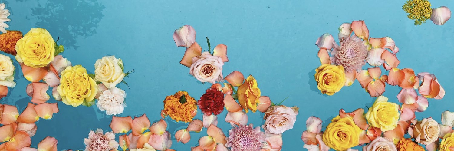 Bryana Kortendick banner