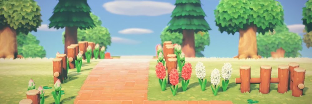 boazwhite5's profile banner image