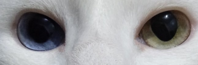 isycsn's profile banner image