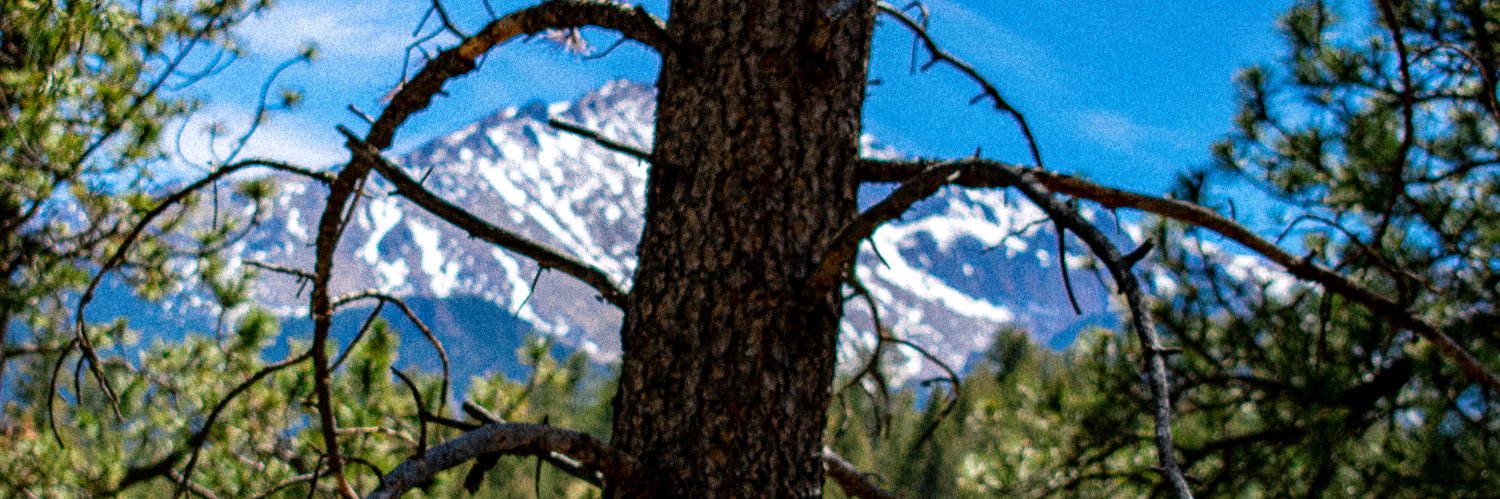 zhutt27's profile banner image
