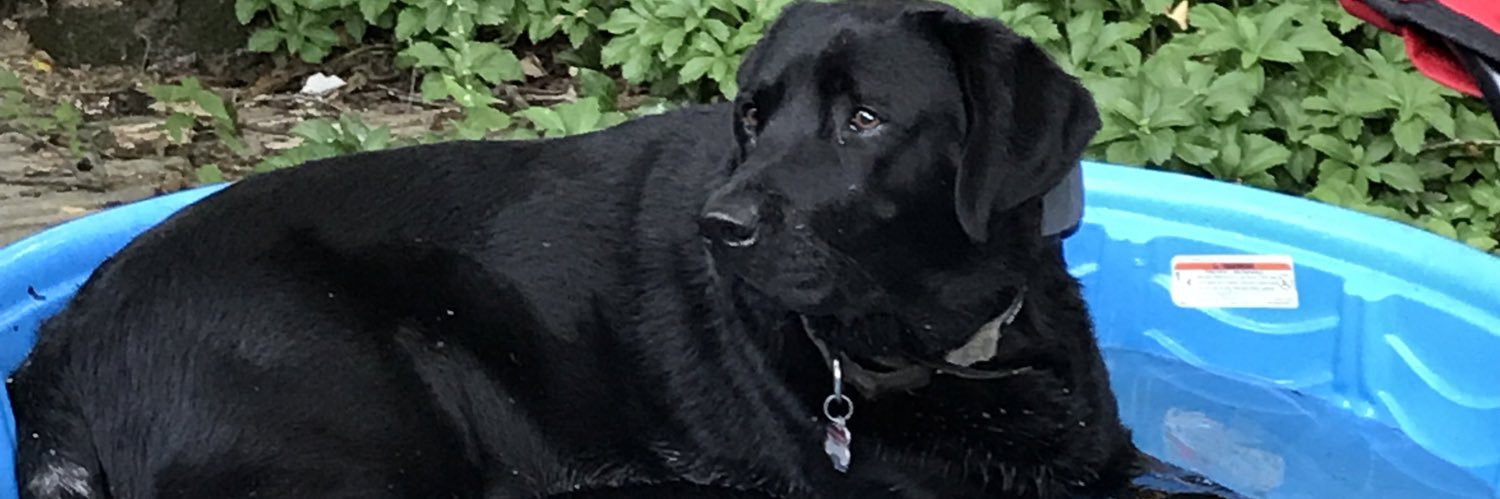 JoshPagel1's profile banner image