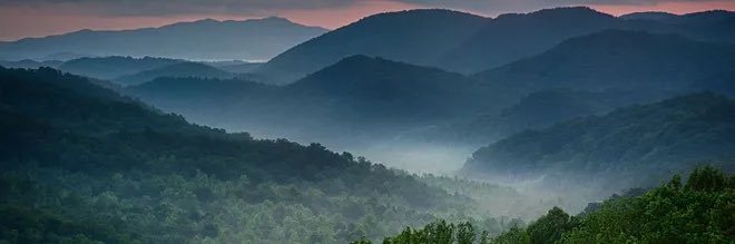 erinjohnstn's profile banner image