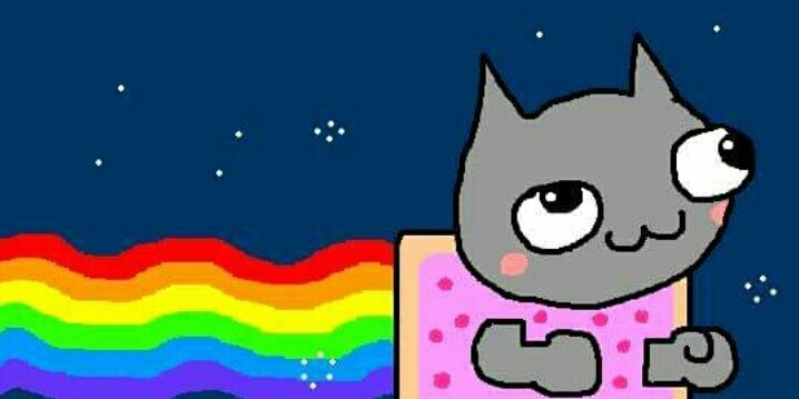 nicoleriverapi1's profile banner image