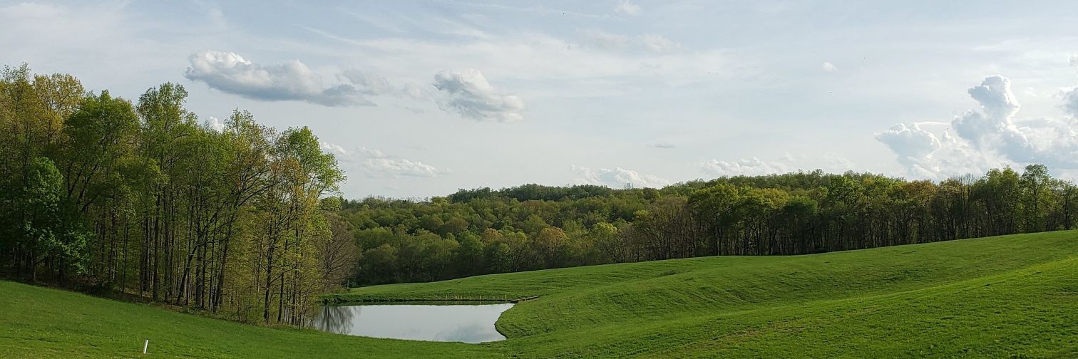 amydash11's profile banner image