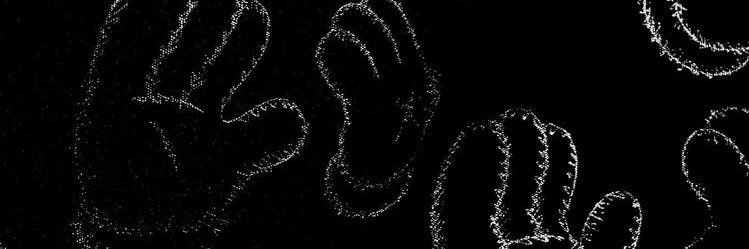 revalditya's profile banner image