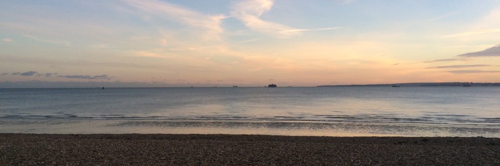 Estelle Taylor banner