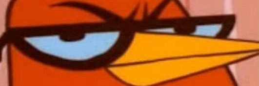CastorRevoltoso's profile banner image