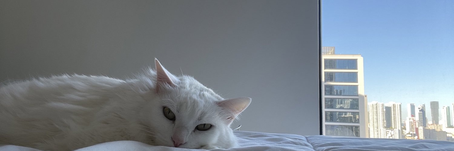 Rubionocatire's profile banner image