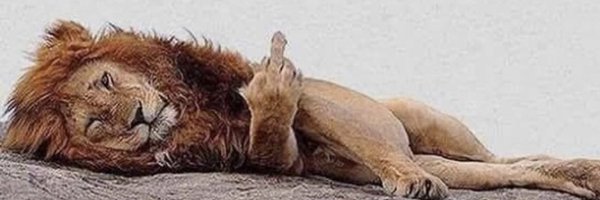 SBakerMD Profile Banner