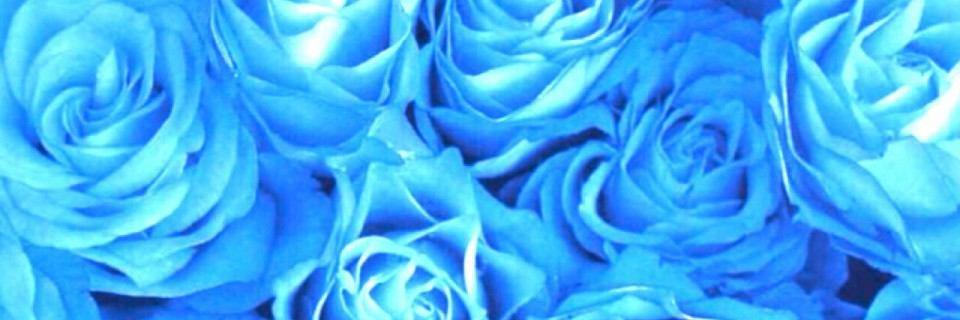 ____s12o's profile banner image
