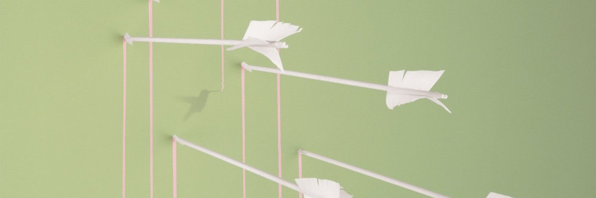 iapa's profile banner image