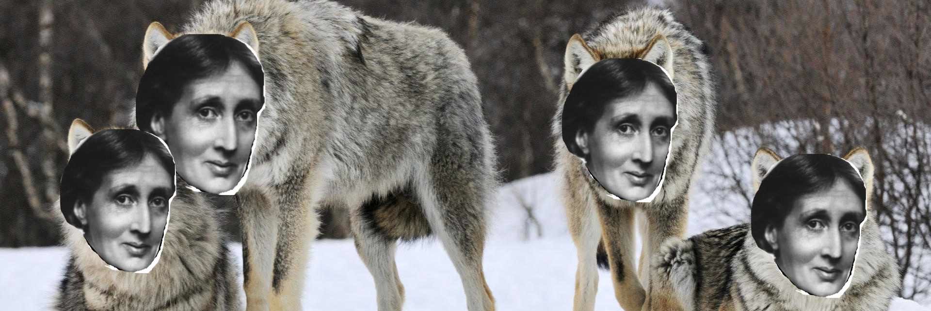 nennajobs's profile banner image