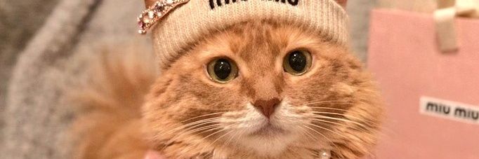 __Mimi_0929__'s profile banner image