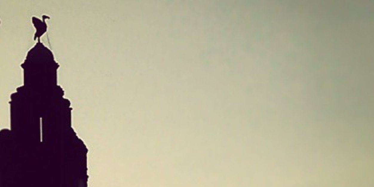 Los Insoportables banner