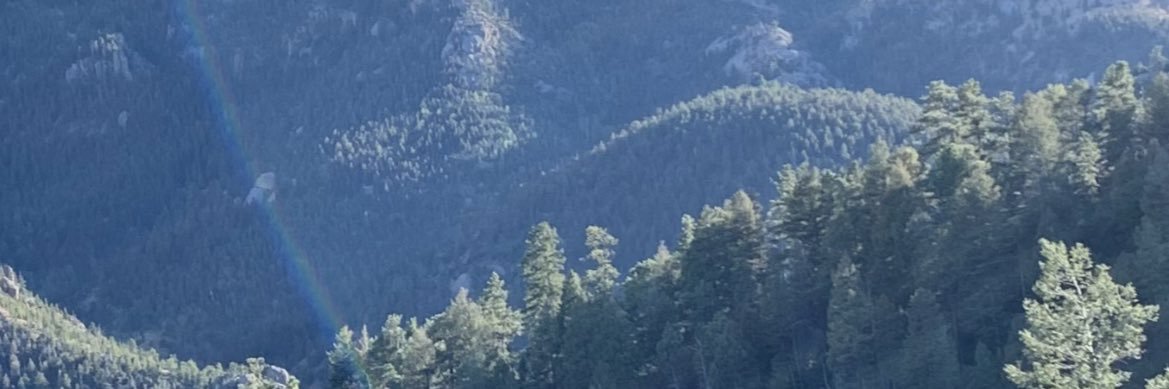APitt10's profile banner image