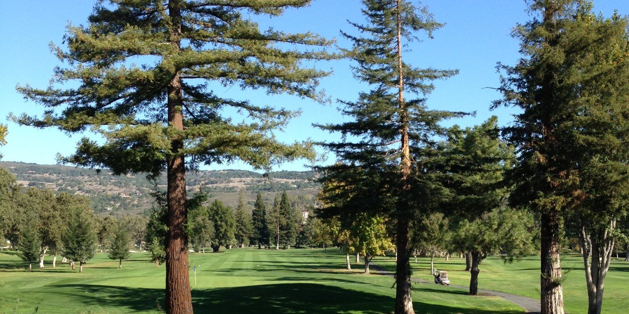 Ted LeMasters banner