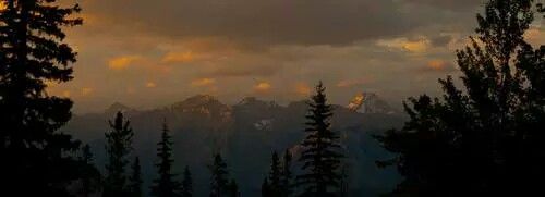 Michael25935555's profile banner image