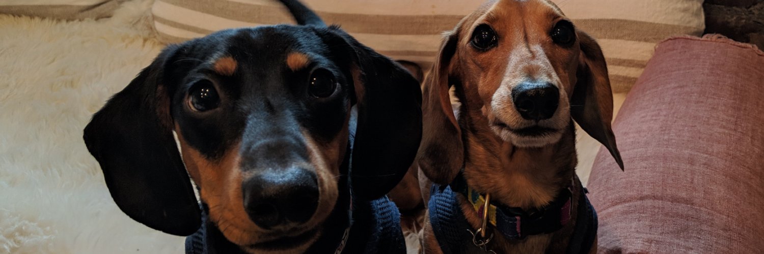MeansPokerFace's profile banner image