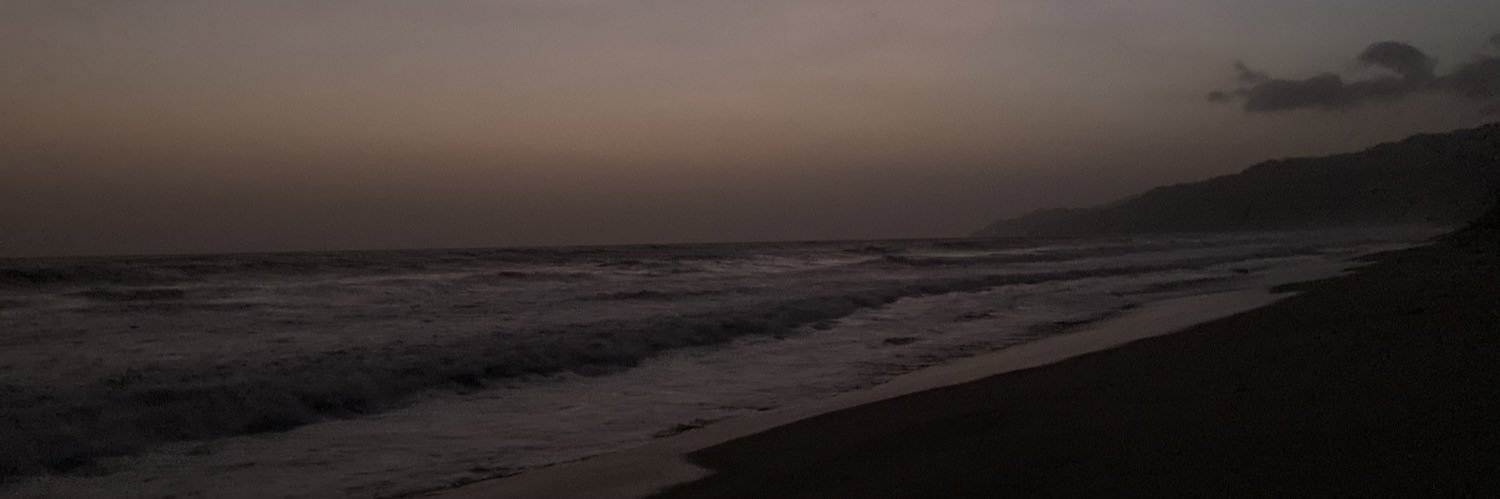 Alejandro Castillejo Cuéllar banner