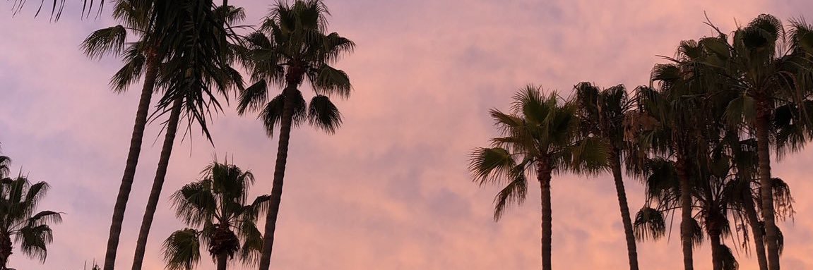 nmps_10's profile banner image