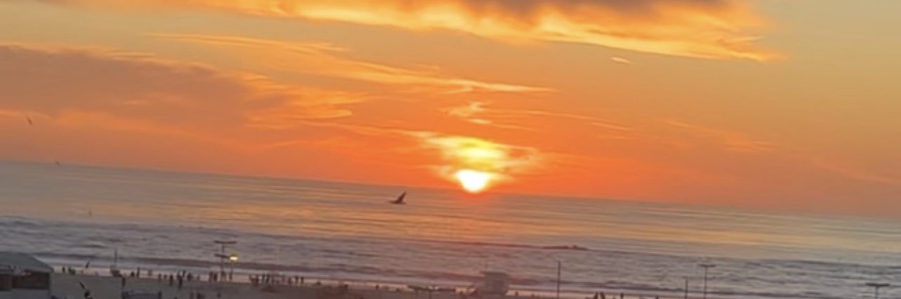 thehammaster's profile banner image