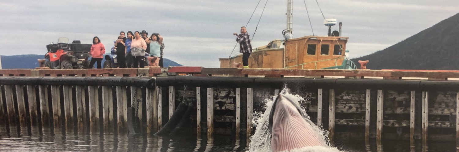 CBC Labrador Morning banner